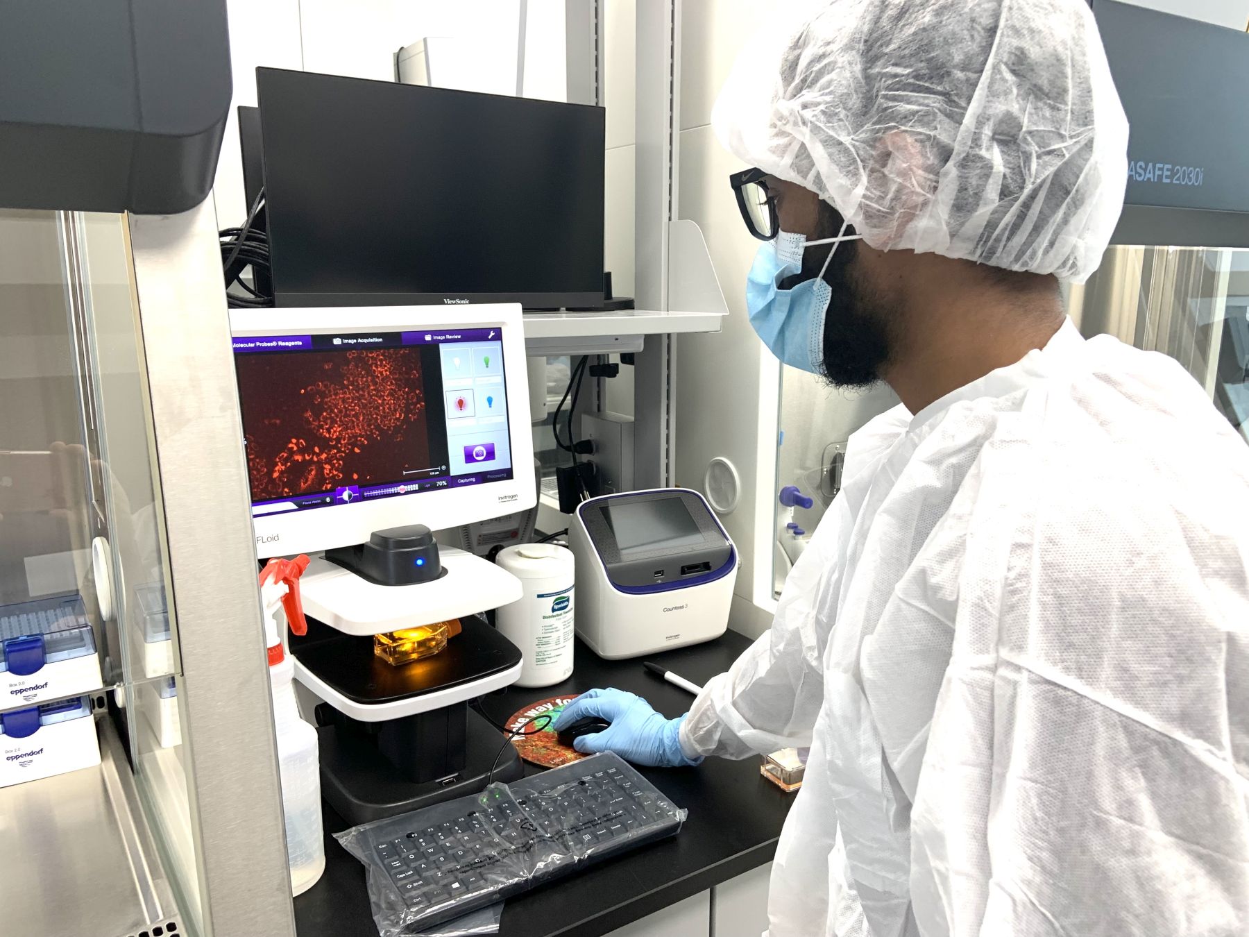 An Alamance Community College biotechnology student working in a lab. The student, wearing a white lab coat, hair net, mask, and gloves, is using advanced laboratory equipment, including a monitor displaying a red microscopic image. The clean, high-tech environment emphasizes the professional and hands-on training in biotechnology.