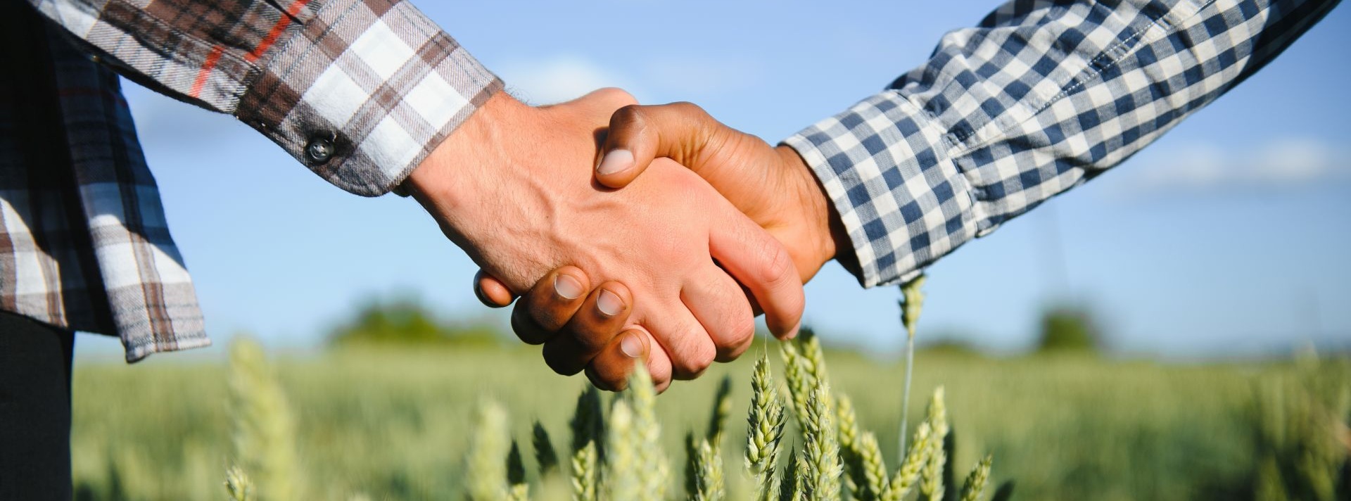 Close-up of two people shaking hands in a field, symbolizing partnership and collaboration. The individuals are wearing plaid shirts, and green crops are visible in the foreground, representing rural or agricultural settings.